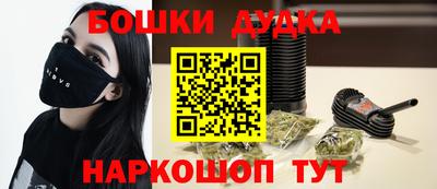 индика Комсомольск-на-Амуре