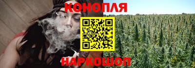 индика Комсомольск-на-Амуре