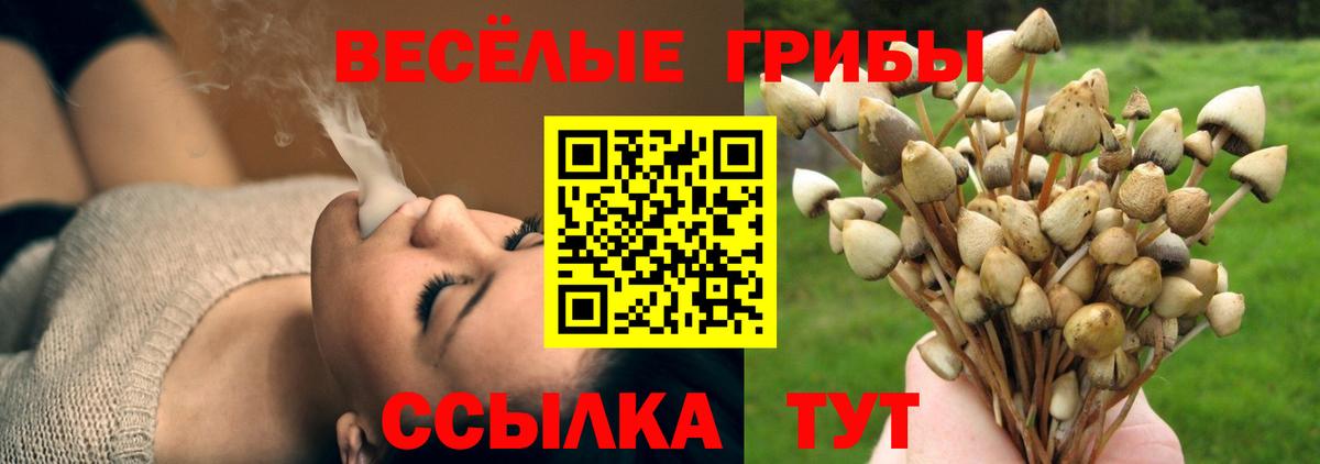 Волжск  Галлюциногенные грибы Cubensis  Вход с VPN 